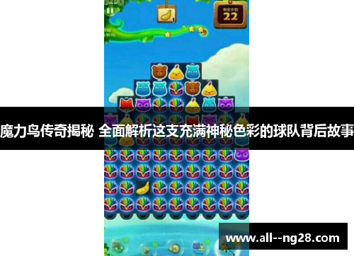 魔力鸟传奇揭秘 全面解析这支充满神秘色彩的球队背后故事
