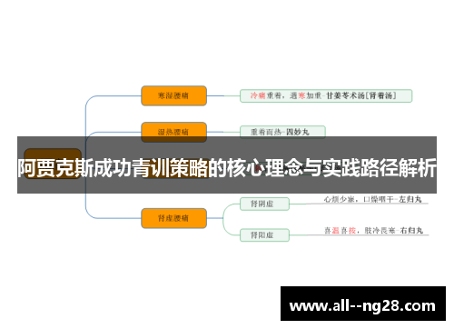 阿贾克斯成功青训策略的核心理念与实践路径解析